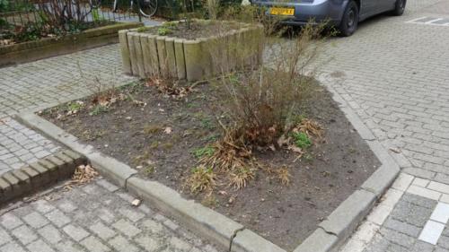 Plantenbak 2