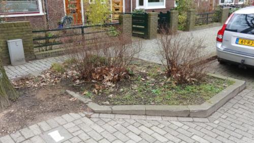 Plantenbak 4
