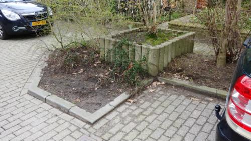 Plantenbak 5