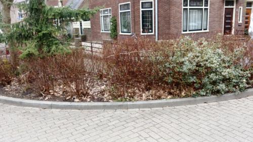 Plantenbak 6