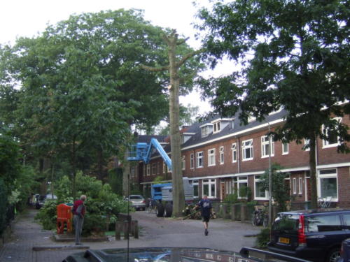 Kappen van de boom-17 augustus 2006-127
