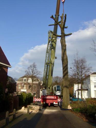 Kappen van de boom-28 november 2006-207